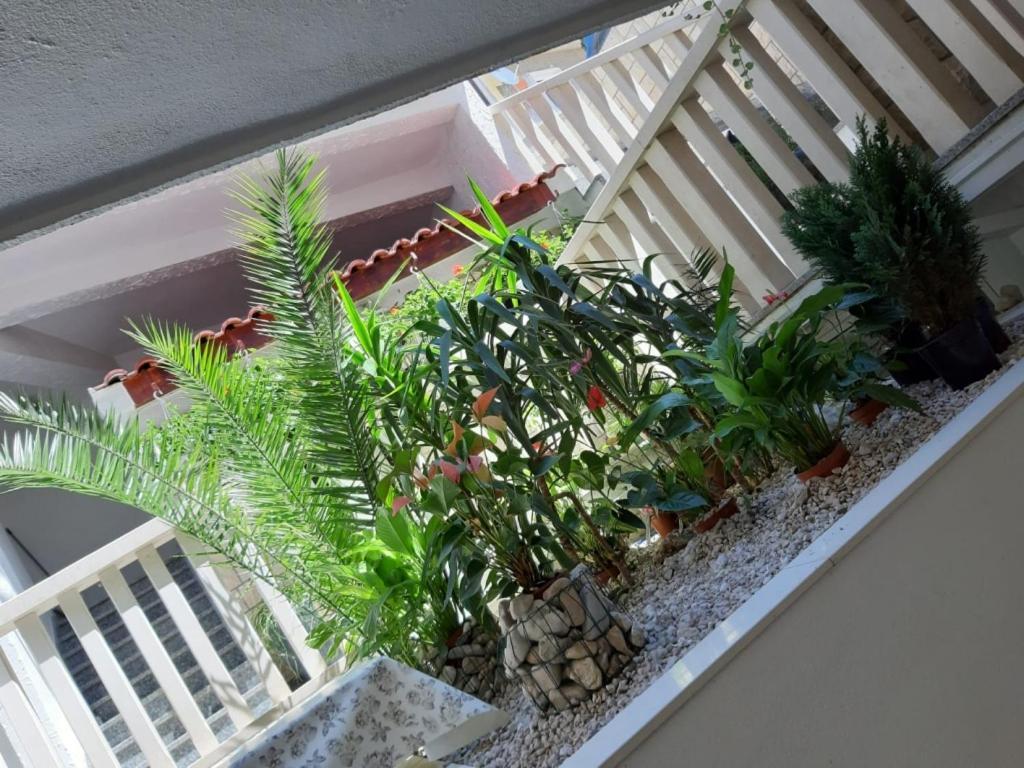 Apartments Duće מראה חיצוני תמונה